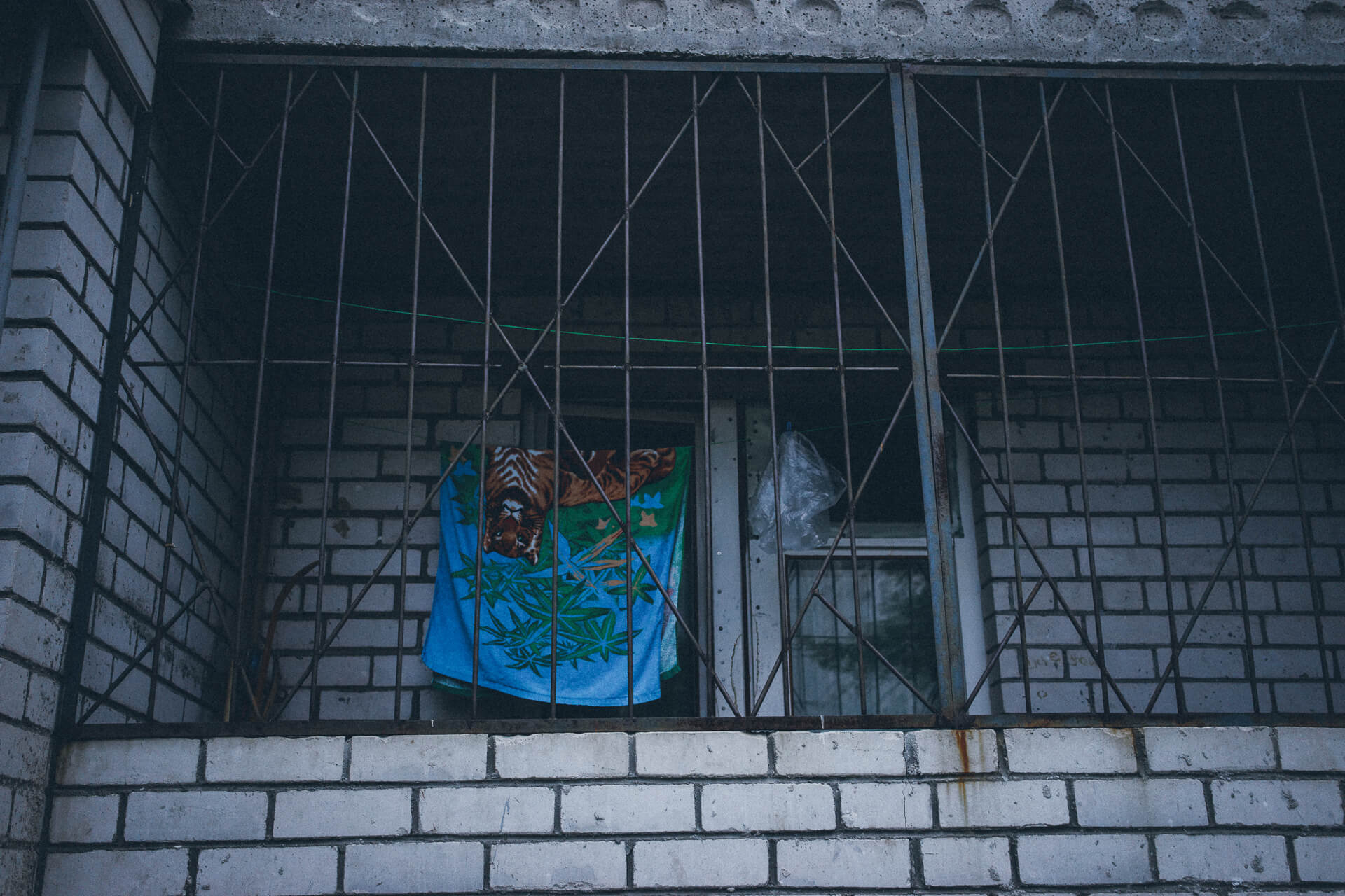 Фотограф в Твери, в Лондоне, в Краснодаре, в Москве Какоткин Роман. Репортаж, арт, фотовыставки. Современная фотография.