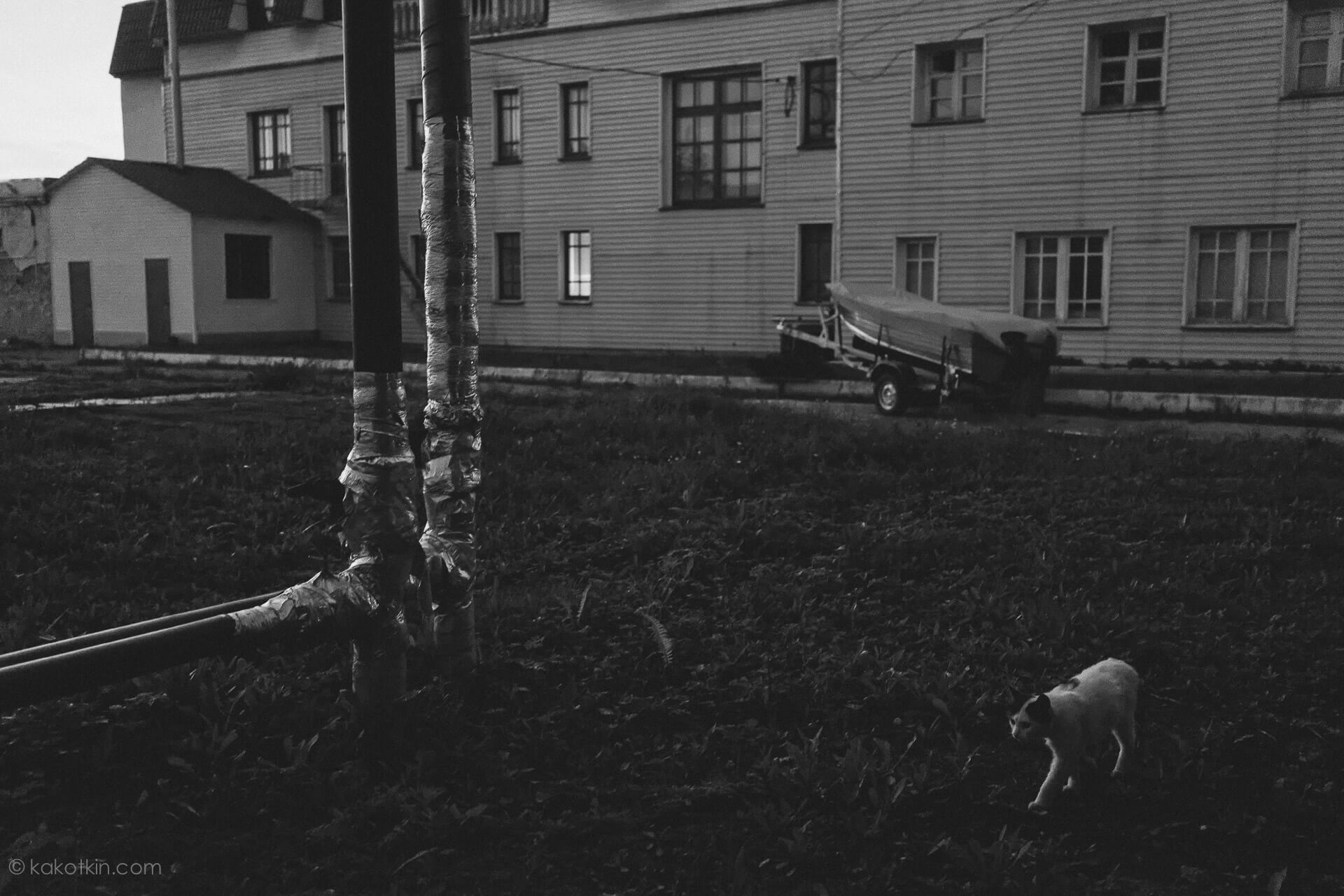 Профессиональная съемка музыкантов, музыкальных коллективов, групп, фотография обложки альбома, репетиций, концертов в Краснодаре, в Москве, в Твери.