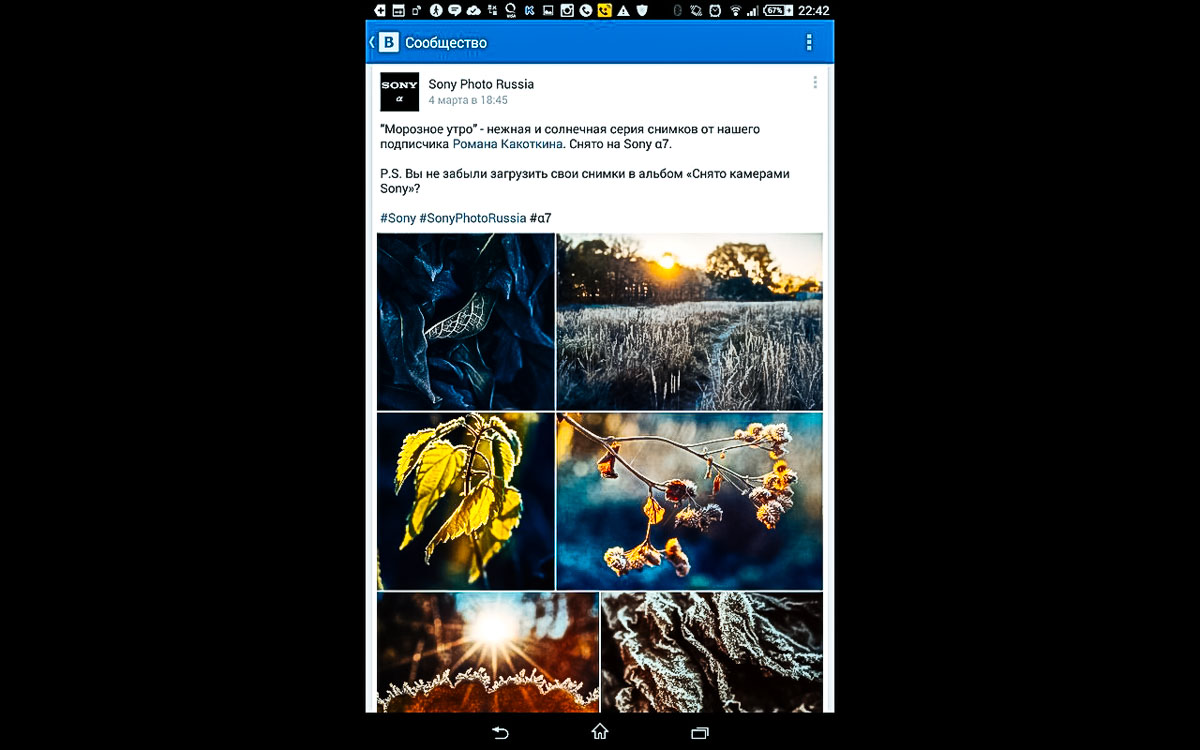 Отзыв о работе фотографа Краснодар. Фотограф в Краснодаре Роман Какоткин.
