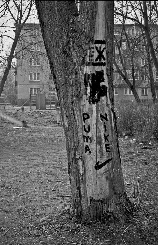 Старинные фотографии . Фотограф Роман Какоткин.