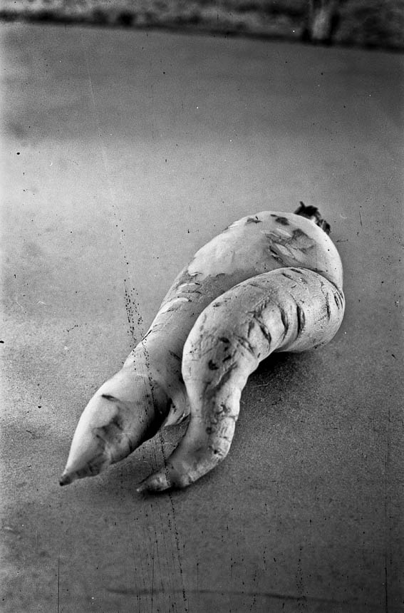 Старинные фотографии . Фотограф Роман Какоткин.