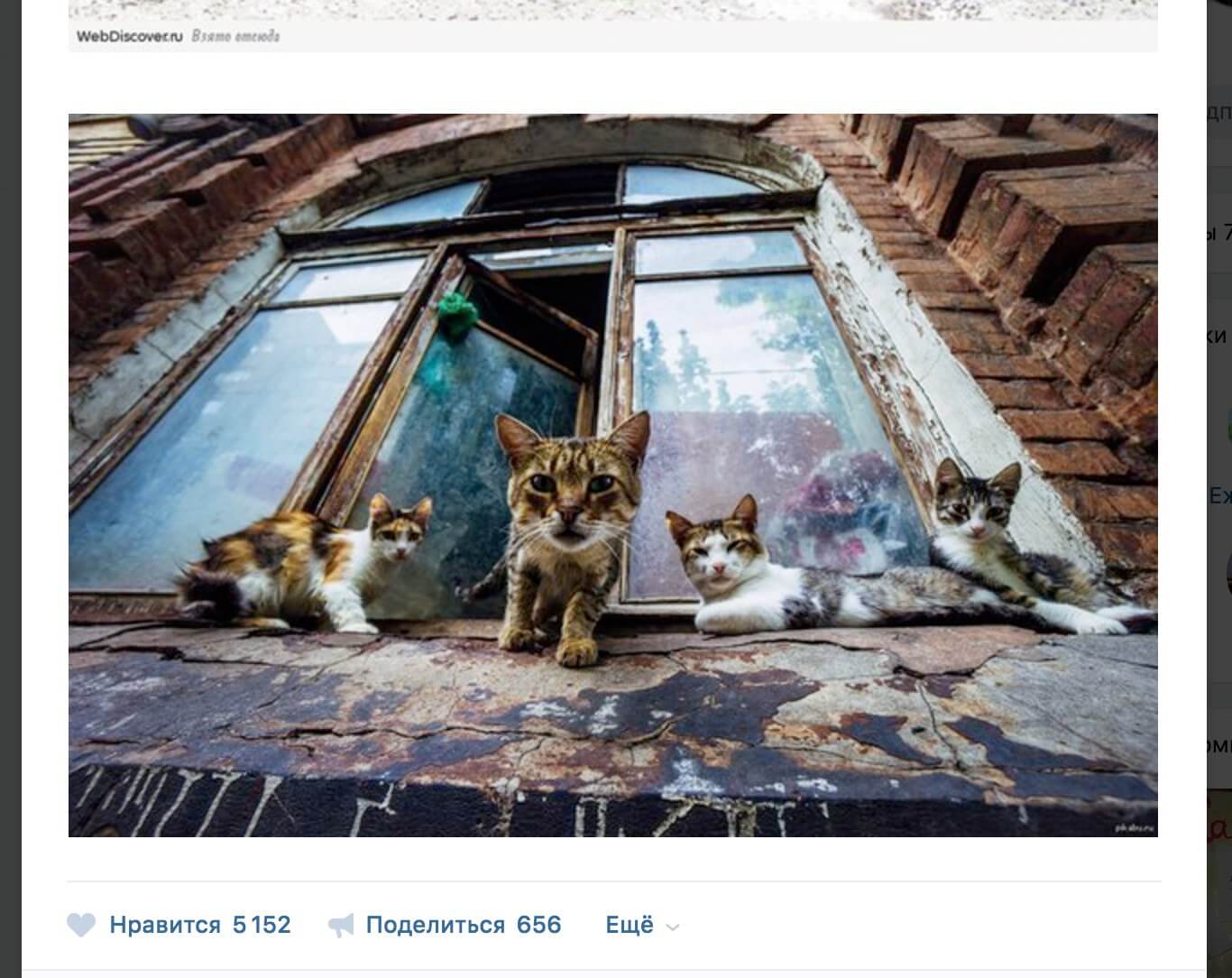 Типичный пример мгновенно украденной фотографии Романа Какоткина.