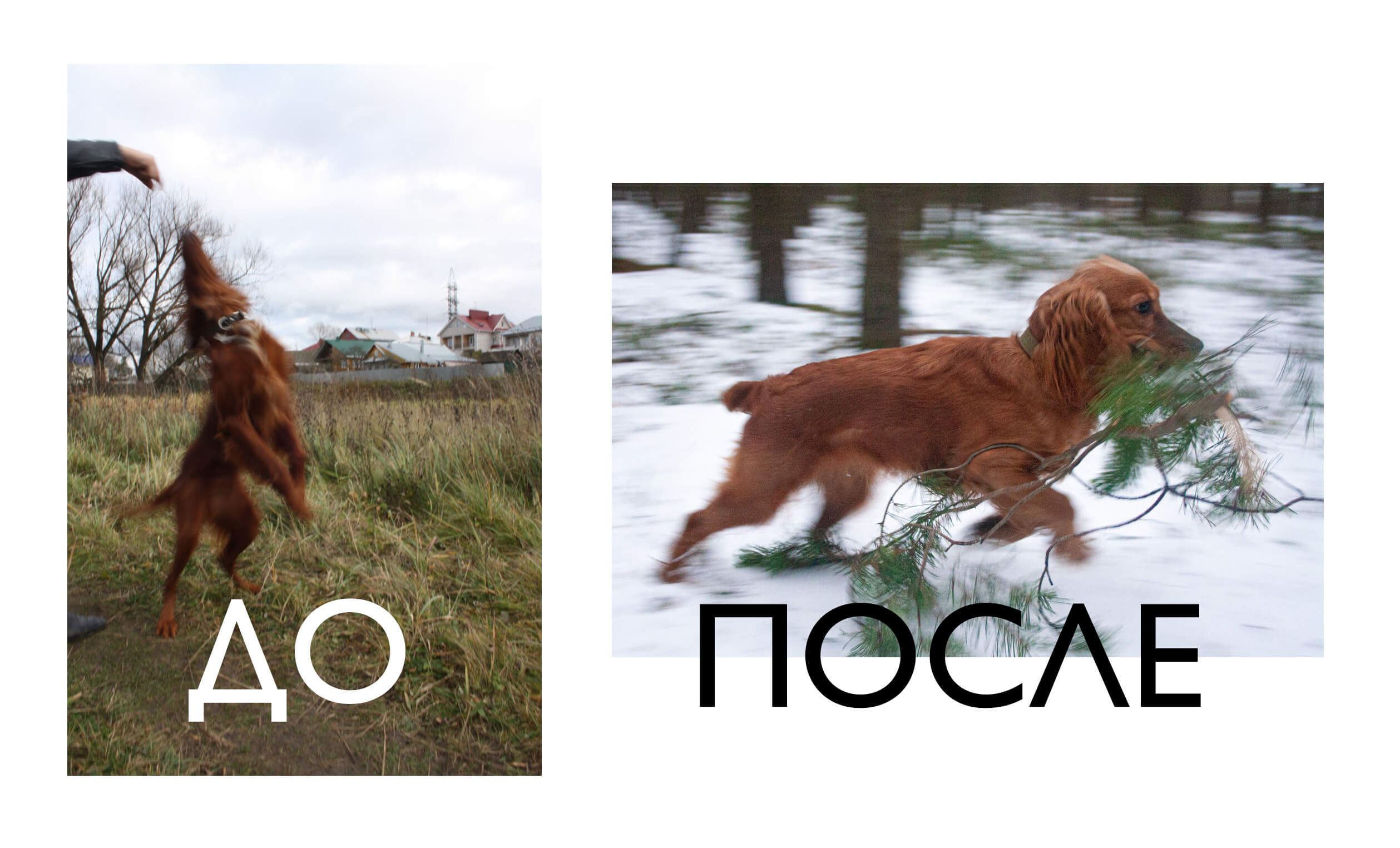 До и ПОсле фотошкола в Твери 