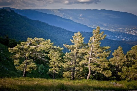 В горах