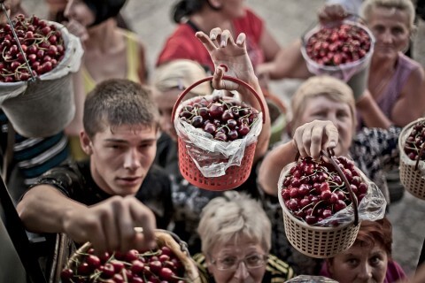 Люди. Вишни